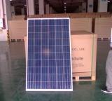 solae panel